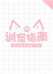 训练计划